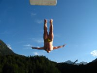 das zu meldende Bild