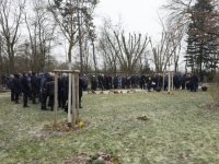 das zu löschende Bild