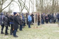 ein Bild aus dem Album