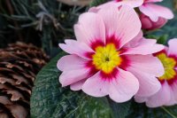 ein Bild aus dem Album